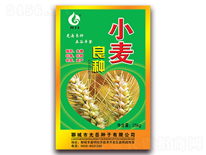 С�����N-�����N��