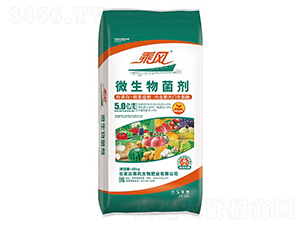 5�|��΢�������-���L(f��ng)����