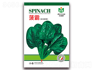 ����-���˷N��-���i�N�I(y��)