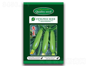 秀玉-菜用西葫蘆種子-金鵬種業(yè)