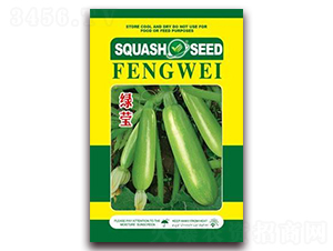 綠瑩-菜用西葫蘆種子-金鵬種業(yè)