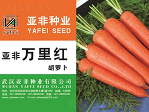 �����f(w��n)��t-���}���N��-����