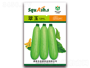 翠玉-菜用西葫蘆種子-金鵬種業(yè)