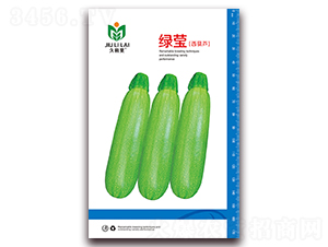 綠瑩西葫蘆-菜用西葫蘆種子-金鵬種業(yè)
