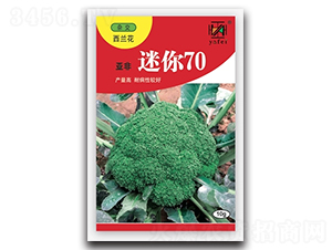 迷你70-西蘭花種子-亞非