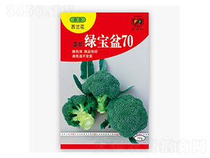 綠寶盆70-西蘭花種子-亞非