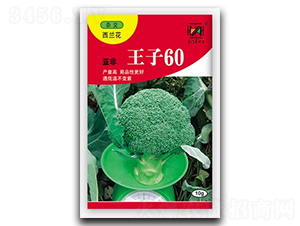 亞非王子60-西蘭花種子-亞非