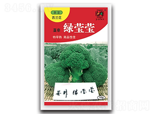 綠瑩瑩-西蘭花種子-亞非