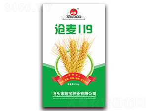 ����119-С���N��-�ߌ��N�I(y��)