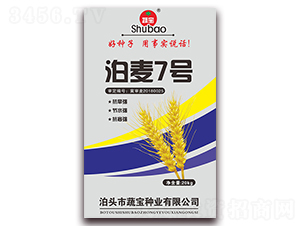 ����7̖(h��o)-С���N��-�ߌ��N�I(y��)