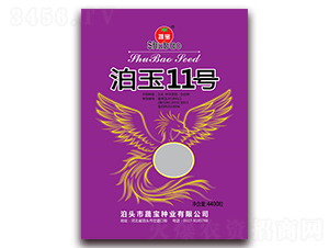 ����11̖-���׷N��-�ߌ��N�I(y��)