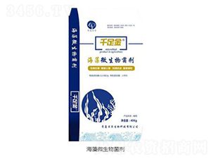 12�|����΢�������-ǧ���