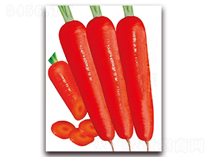 ����һ̖(h��o)-���}���N��-�|������