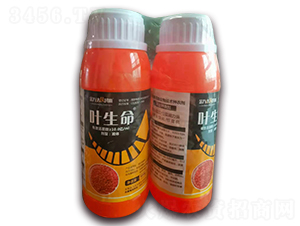 ���Ͷ๦�����＼�g(sh��)�N��-�~����-���f(w��n)�_(d��)���r(sh��)��