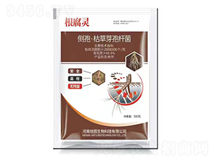 ��(c��)�ߡ��ݲ�ѿ�ߗU��-�ÌW(xu��)��