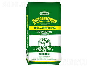 平衡營養(yǎng)型大量元素水溶肥料20-20-20+TE-豐碩萬家-盈豐農(nóng)業(yè)