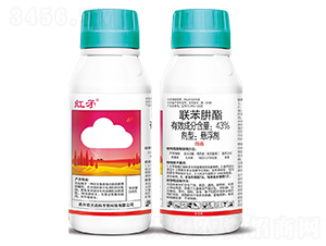 43%(li��n)�������Ҹ���-�tì-�ƴ�߿�