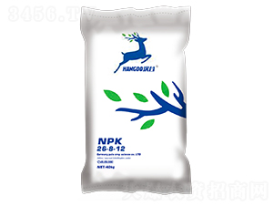 ��ጷ���26-8-12-�h��-�՘�����