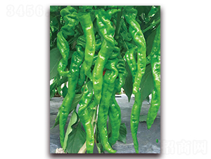 ����106-�����N��-�|������