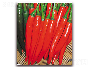 ����t��-�����N��-�|������