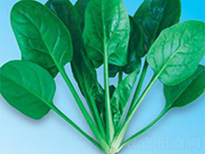 �G��(y��u)��7̖(h��o)-���˷N��-΢�ȷN�I(y��)