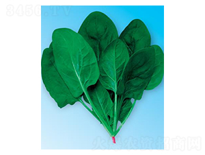 �G��(y��u)��3̖(h��o)-���˷N��-΢�ȷN�I(y��)