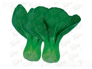 �v�F-��˷N��-΢�ȷN�I(y��)