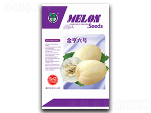 �����̖(h��o)-��ϷN��-���ѩ��