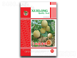 �����tȿ��ѩ-��ϷN��-���ѩ��