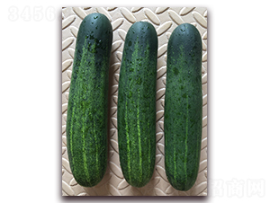 �����G-�S�ϷN��-����N��