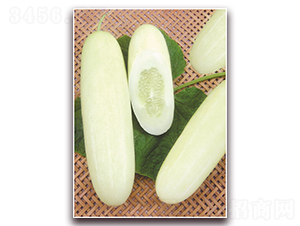 ����һ̖-�S�ϷN��-����N��