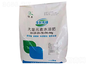 大量元素水溶肥料19-19-19+TE+FA+Mg-生長先鋒-金豐農(nóng)業(yè)