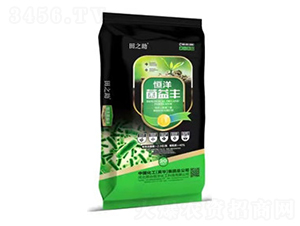 ΢�������-�����S-���󻯹�