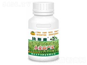 С���߮a(ch��n)��-��˹��-�V����