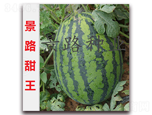 ��·����-�����ϷN��-��·�N�I(y��)