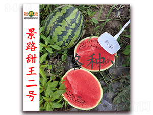 ��·������̖(h��o)-�����ϷN��-��·�N�I(y��)