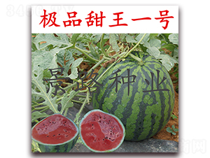 �OƷ����1̖-�����ϷN��-��·�N�I(y��)