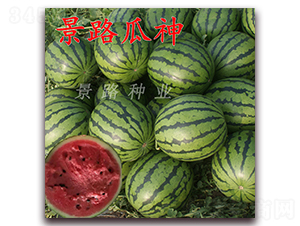 ��·����-�����ϷN��-��·�N�I(y��)