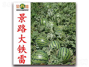 ��·���F��-�����ϷN��-��·�N�I(y��)