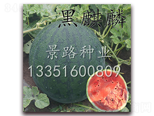 ��·������-�����ϷN��-��·�N�I(y��)