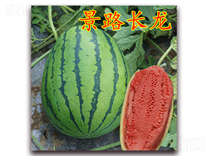 ��·�L��-�����ϷN��-��·�N�I(y��)