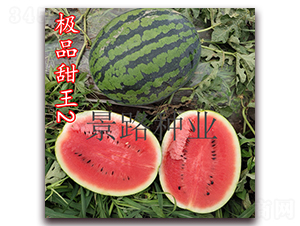 �OƷ����2̖-�����ϷN��-��·�N�I(y��)