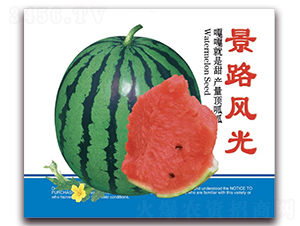 ��·�L(f��ng)��-�����ϷN��-��·�N�I(y��)