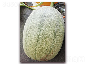 �¼t��25̖-���ܹϷN��-�����N��