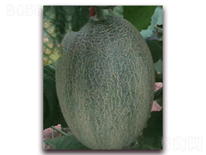 �ƾW(w��ng)���ʮ��-���ܹϷN��-�����N��