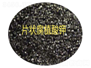 Ƭ�ֲ���-�ź�����