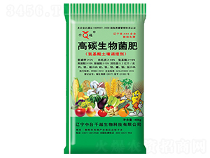 ��̼�������-ǧԽ