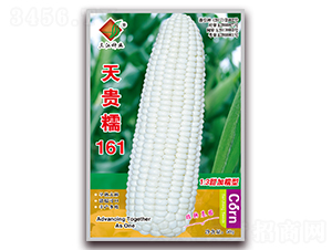 ���FŴ161-Ŵ���׷N��-�����N�I(y��)