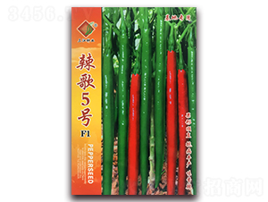 辣歌5號F1-辣椒種子-三江種業(yè)