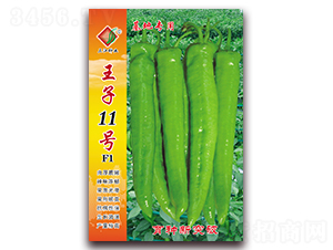 王子11號F1-辣椒種子-三江種業(yè)
